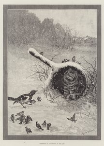 A birtoklás a törvény kilenc pontja alkotó: Louis Wain
