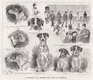 Southdown Fox Terrier Club Show Brightonban (metszet) alkotó: Louis Wain