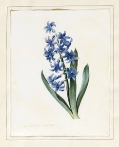 Jácint, 1826 (wc, némi testszín pergelyen)