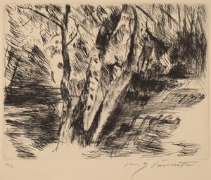 Nyírfák a Tiergartenben alkotó: Lovis Corinth