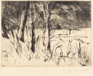 Tiergarten Állatkert, 1922. alkotó: Lovis Corinth