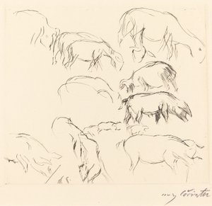 Különféle állattanulmányok Animal Studies, 1917. alkotó: Lovis Corinth