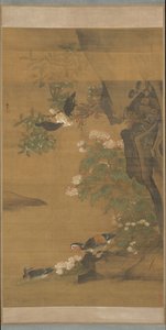 Mandarin kacsa és pamutrózsa hibiszkusz. alkotó: Lu Ji