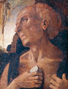 Szent Jeromos, Luca Signorellinek tulajdonítva (1441 körül vagy 1450-1523) alkotó: Luca (attr.to) Signorelli