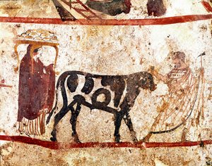 Egy bika vezet az áldozati oltáron Lucanian freskó a Kr.e. IV. századból, az olaszországi Paestumban található Andriuolo nekropoliszából. Museo nazionale archeologico, Paestum
