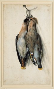 Két halott bohém viasz alkotó: Lucas Cranach the Elder