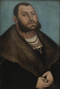 Nagyképű Szász János választófejedelem (1503-1554) portréja