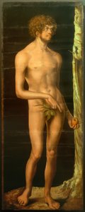 Adam alkotó: Lucas Cranach the Elder