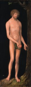 Német: Adam Adam alkotó: Lucas Cranach the Elder