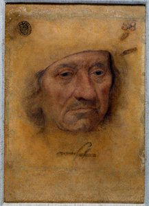 Doktor Petrus von Clapis portréja Bruyn pasztelljével rajzolva, az Öreg Lucas Cranach (vagy az idősebb) iskolájából alkotó: Lucas the Elder Cranach