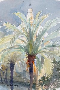 Old City Palms I, Jeruzsálem, 2019 (papír nélkül) alkotó: Lucy Willis