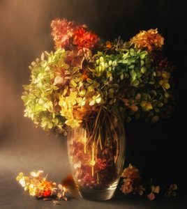 alkotó: Ludmila Shumilova