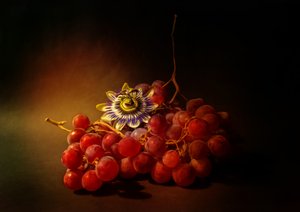  alkotó: Ludmila Shumilova