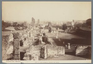 A császári paloták romjai a római Palatinus-dombon Aedes Pubblica, Palazzo dei Cesari (cím a tárgyon)