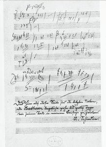 Ludwig van Beethoven (1770-1827) német zeneszerző zenéjének utolsó oldala