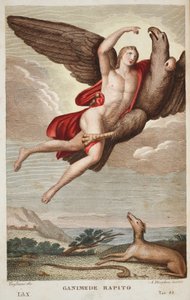 Ganymede vitt a mennybe vagy Ganimede Rapito, X. könyv, illusztráció Ovidius Metamorfózisaiból, Firenze, 1832 (kézzel színezett metszet) alkotó: Luigi Ademollo