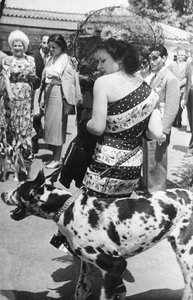 Portré egy hölgyről egy dán doggal alkotó: Luigi Leoni