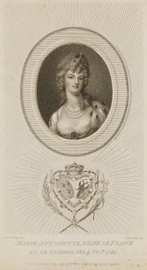 Marie Antoinette, Franciaország királynője