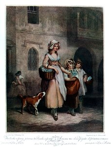 Két csomó egy fillért kankalin, két csomó egy fillér, 1793, 1910