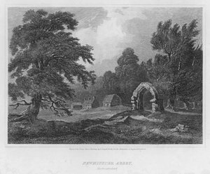 Newminster Abbey, Northumberland (metszet)