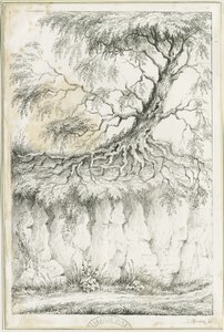 Dudley – Fa: litográfia, nd [c 1825] (nyomtatás) alkotó: Luke Booker