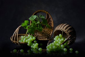 Bőséges szőlőcsendélet alkotó: Lydia Jacobs