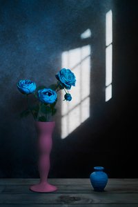 Ablakfény kék rózsákkal alkotó: Lydia Jacobs