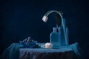 Elegáns kék csendélet