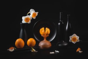 Elegáns citruscsendélet alkotó: Lydia Jacobs