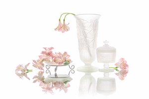 Elegáns rózsaszín virágok tükröződése alkotó: Lydia Jacobs