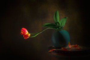 Csendélet kecses tulipánokkal alkotó: Lydia Jacobs