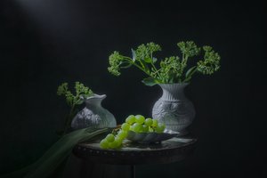Csendélet zöld szőlővel alkotó: Lydia Jacobs