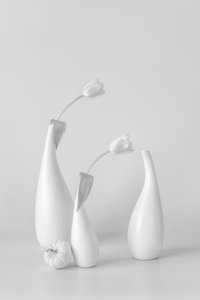 Minimalista fehér tulipánok alkotó: Lydia Jacobs