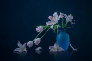 Hangulatos liliomok és tulipánok alkotó: Lydia Jacobs