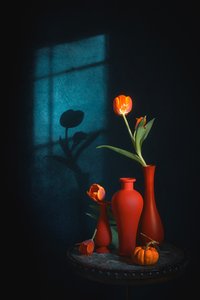Hangulatos tulipánok – csendélet