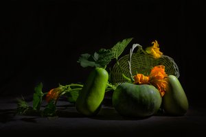Élénk aratási csendélet alkotó: Lydia Jacobs
