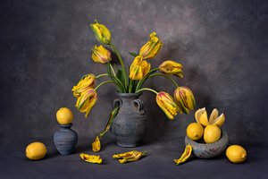 Sárga tulipánok és citromok alkotó: Lydia Jacobs