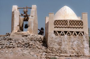 A sivatagban egy oázis öntözőhely egy kúttal Husn Al-Muttaharban, Tarintól délre, Jemenben.