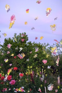 Abstracted Flowers, 2019 (akrilfesték archív pigmentnyomaton)