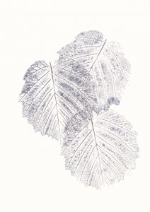 Minimalista levéltextúrák alkotó: Maira Ribena