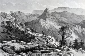 Dongolo melletti menetben, James Ferguson metszete, 1868 alkotó: Major A.G.F. Hogg