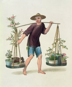 Porter gyümölcsfákkal és virágokkal, 16. tábla a „Kína jelmeze”-ből, J. Dadley metszet, 1800