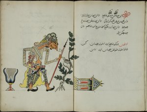 Kurkuma Java, MS 41 p. 32, most 16, 1830
