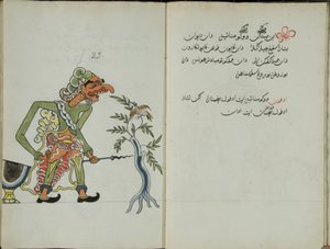 Kurkuma Java, MS 41 p. 46, 23. kép, 1830