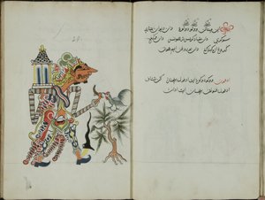 Kurkuma Java, MS 41 p. 58, jelenleg 1830 29