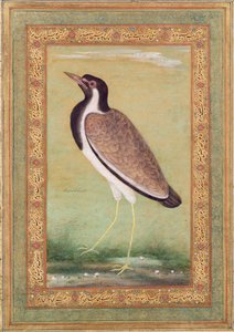 Indiai kappantyú, 1800 körül