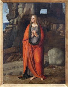Bűnbánó Szent Magdolna, Marco Basaiti festménye (kb. 1470-1530 után). Fényképészet, KIM Youngtae, Lyon, Lyoni Szépművészeti Múzeum.
