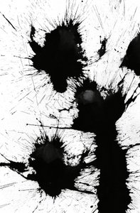 Blot, 2014 (tinta, papír) alkotó: Marco Campedelli