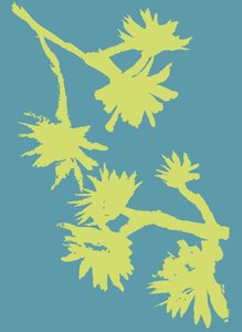 Succulent_2, 2022 (tinta, papír) alkotó: Marco Campedelli