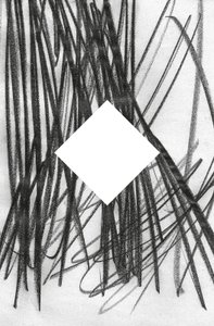 Cím nélkül, 2014 (grafit, papír) alkotó: Marco Campedelli